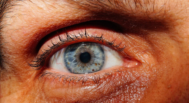 old human eye eye care near me. Fort Worth, TX 640×350